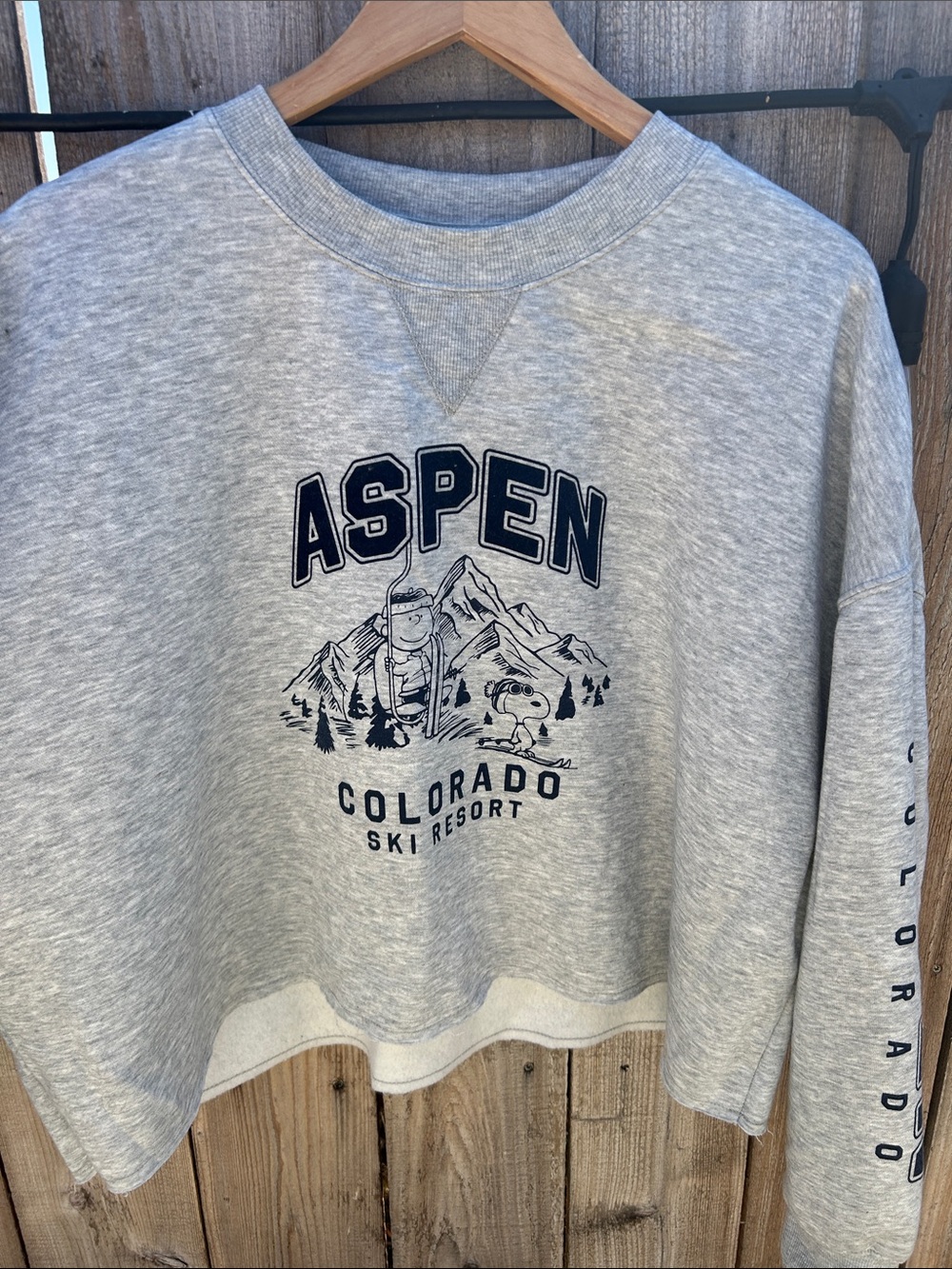 Aeropostale Gray Aspen Colorado Graphic Crewneck Sweatshirt